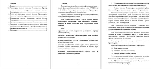 Скриншот отчета по практике о прохождении в городской администрации