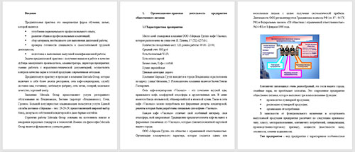 Скриншот отчета по практике о прохождении в организации
